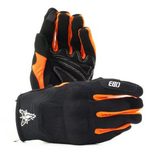 ego-den-cam-dai-ngon-1-300x300